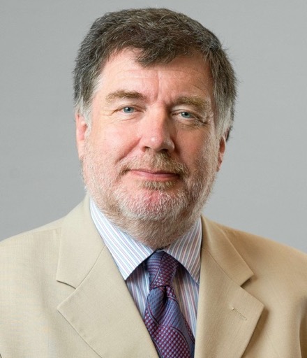 Prof Michael P Barnes